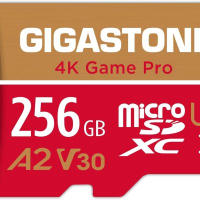 micro-sd-gigastone-256-gb.jpg