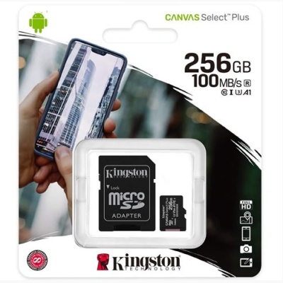 sd-canvas-plus-kingston-256gb.png